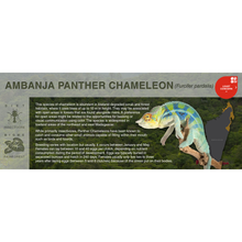 Load image into Gallery viewer, Panther Chameleon (Furcifer pardalis) - Black Series Vivarium Label