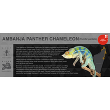 Load image into Gallery viewer, Panther Chameleon (Furcifer pardalis) - Black Series Vivarium Label
