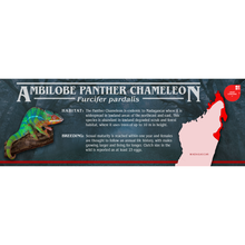 Load image into Gallery viewer, Stranger Species Special Edition Halloween Vivarium Label