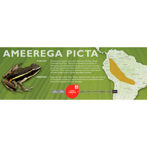 Ameerega picta - Standard Vivarium Label