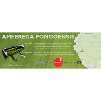 Ameerega pongoensis - Standard Vivarium Label