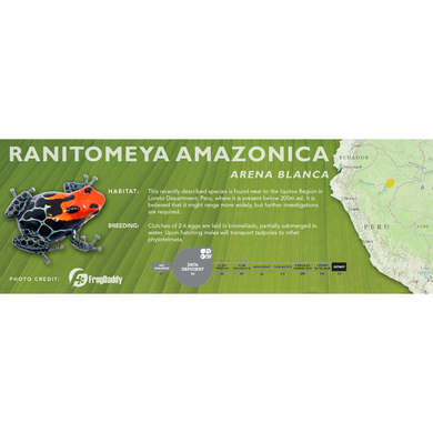 Ranitomeya amazonica - Standard Vivarium Label
