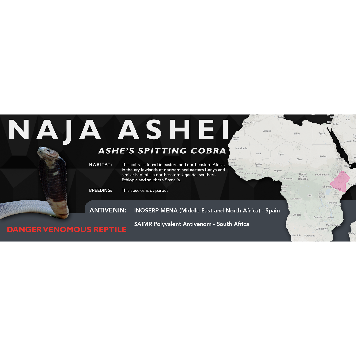 Ashe's Spitting Cobra (Naja ashei) Classic Vivarium Label