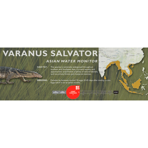 Asian Water Monitor (Varanus salvator) Standard Vivarium Label