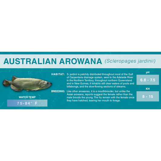 Australian Arowana (Scleropages jardinii) - Classic Aquarium Label