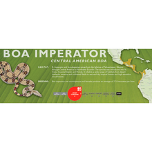 Load image into Gallery viewer, Central American Boa (Boa imperator) Standard Vivarium Label