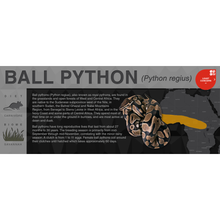 Load image into Gallery viewer, Ball Python (Python regius) - Black Series Vivarium Label