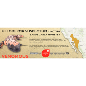 Gila Monster (Heloderma suspectum) Standard Vivarium Label