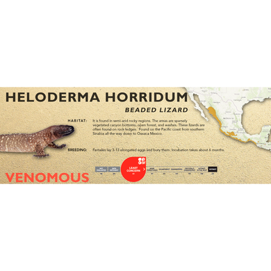 Beaded Lizard (Heloderma horridum) Standard Vivarium Label