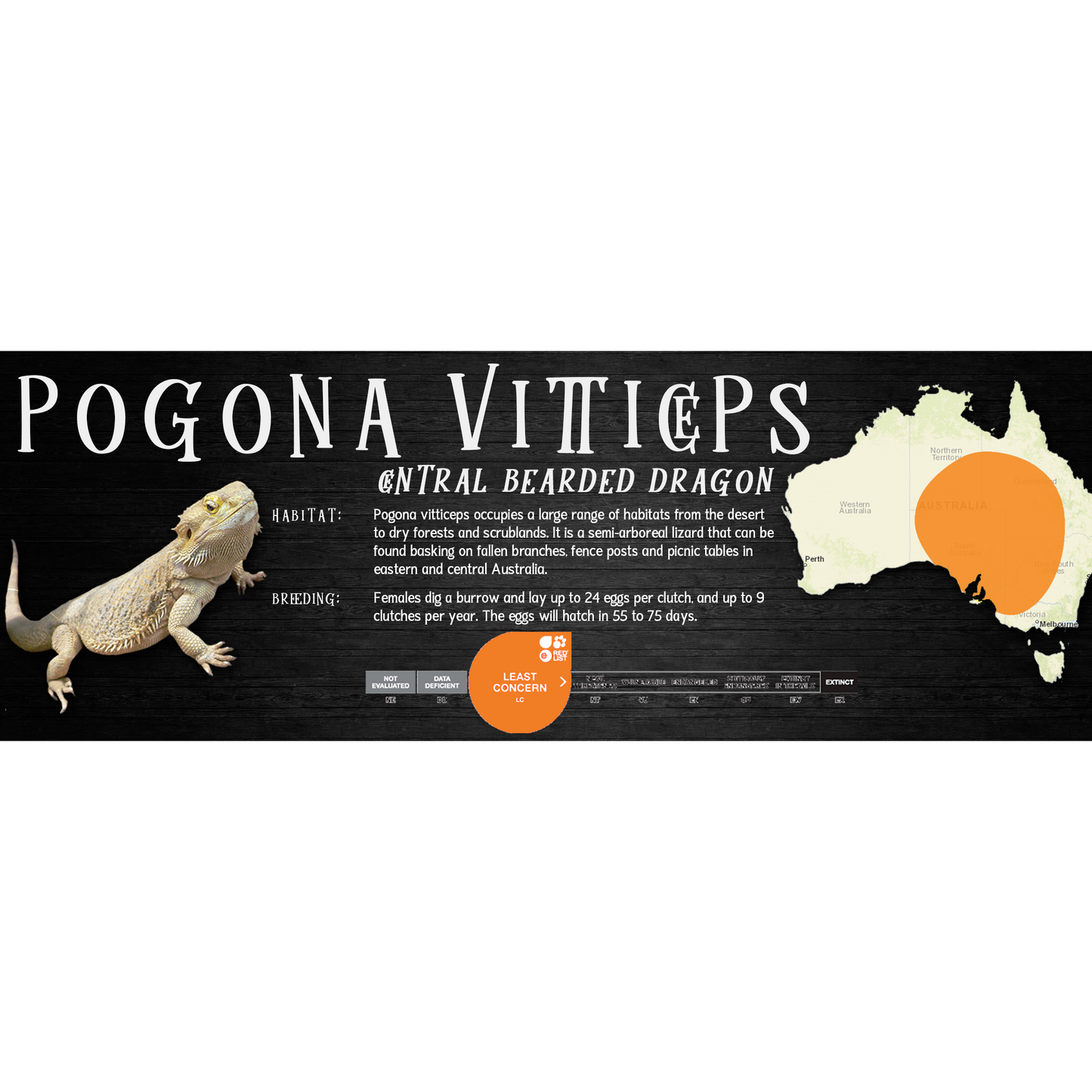 Special Edition Halloween Vivarium Label