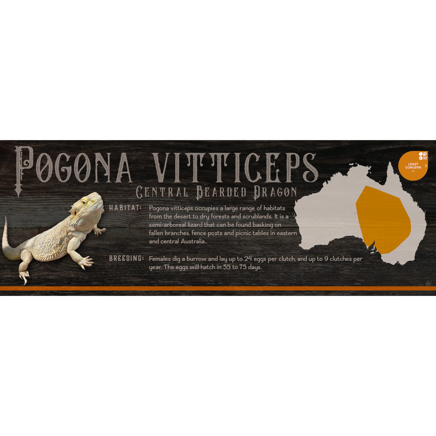 Special Edition Halloween Vivarium Label