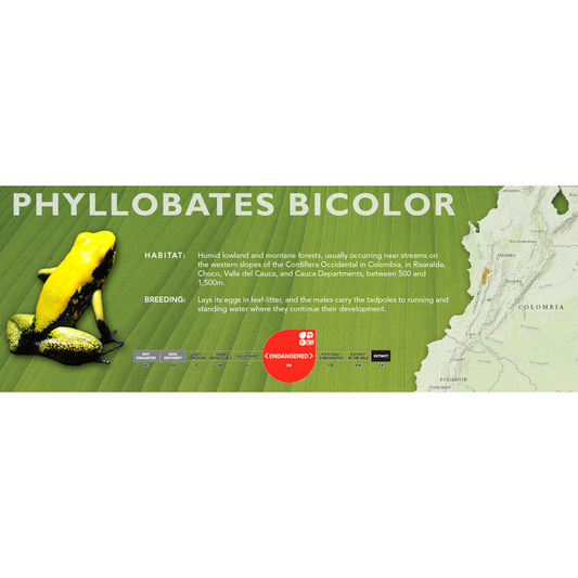 Phyllobates bicolor - Classic Vivarium Label