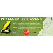 Load image into Gallery viewer, Phyllobates bicolor - Standard Vivarium Label