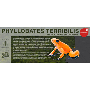 Phyllobates terribilis "Black Footed Orange" - Black Series Vivarium Label