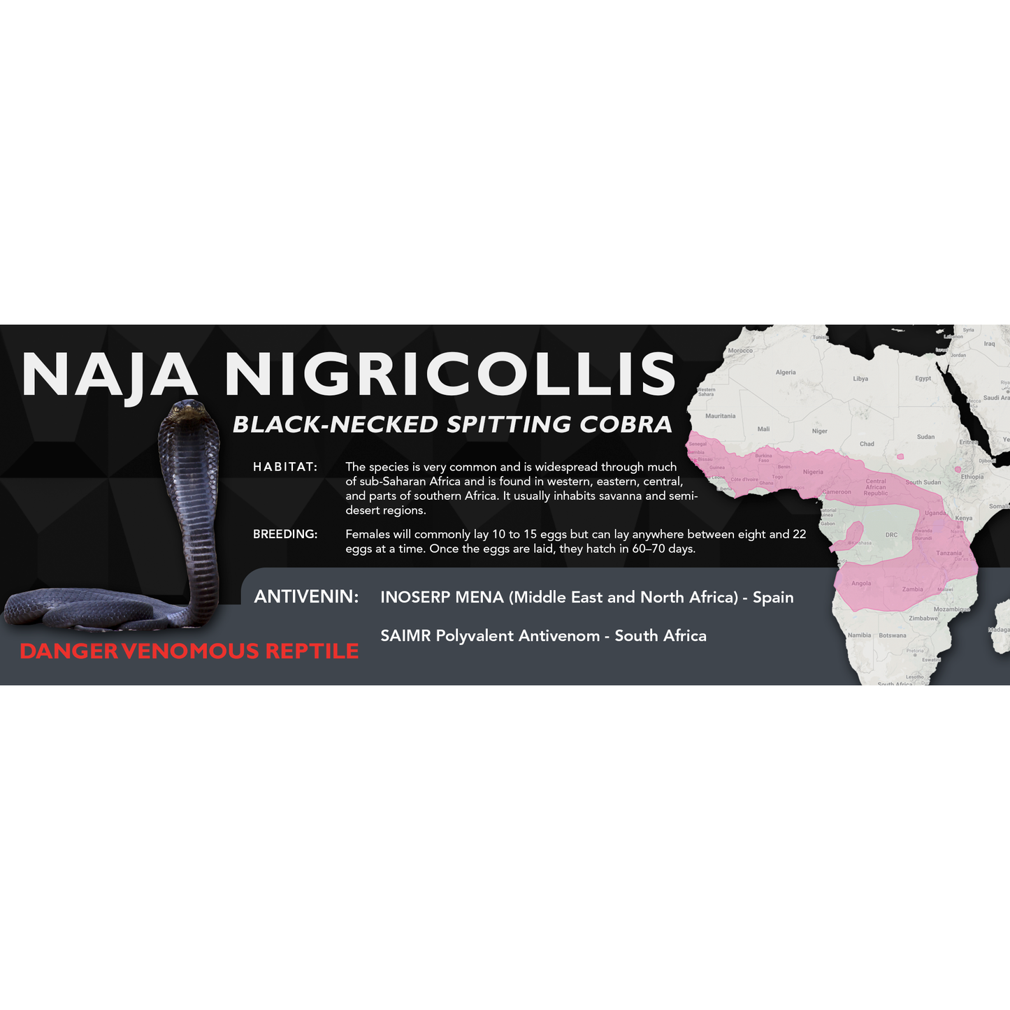 Black-Necked Spitting Cobra (Naja nigricollis) Classic Vivarium Label