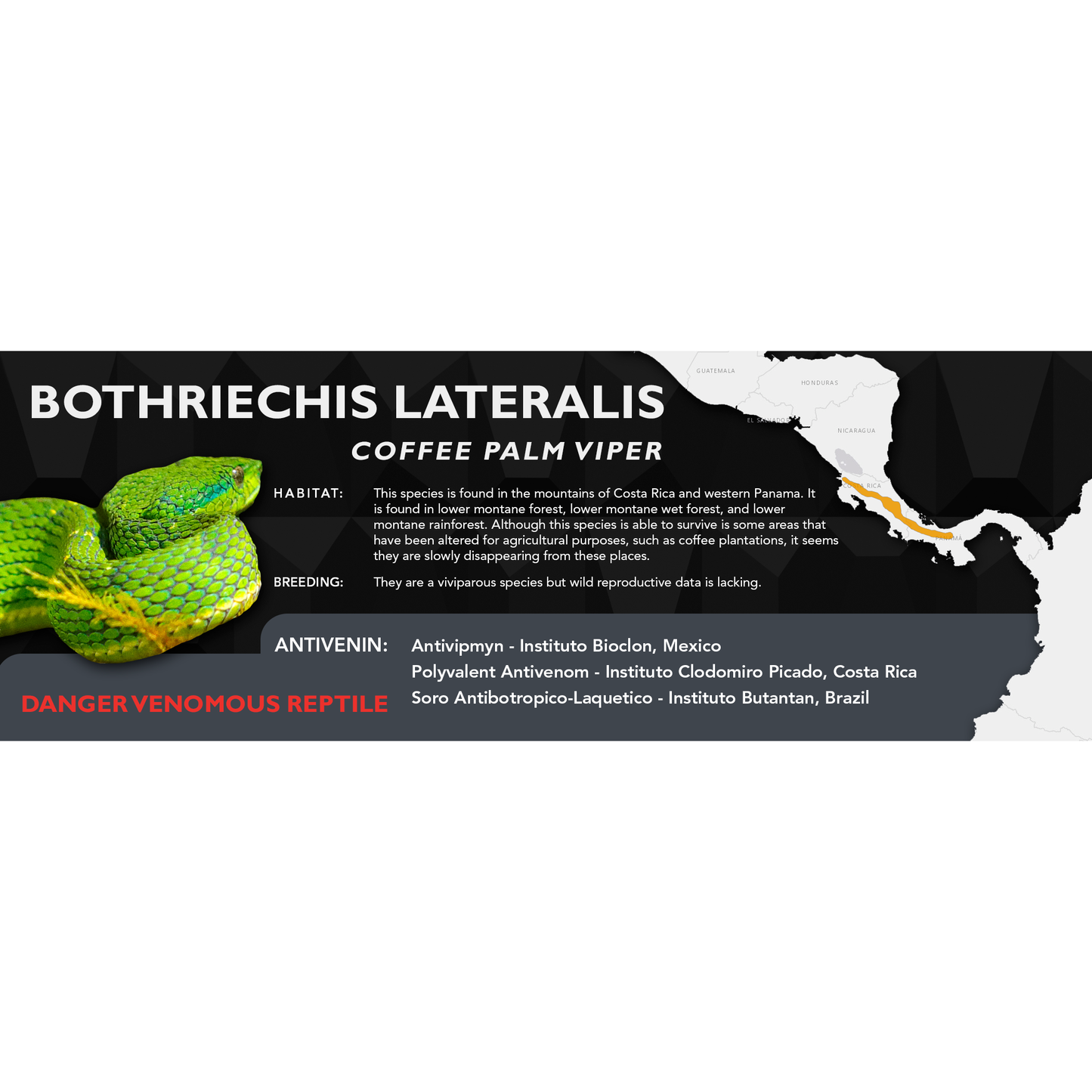 Coffee Palm Viper (Bothriechis lateralis) Classic Vivarium Label