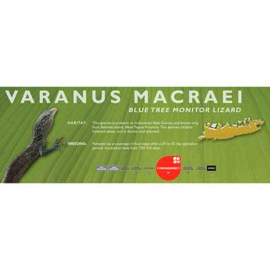 Blue Tree Monitor (Varanus macraei) Standard Vivarium Label