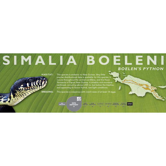 Boelen's Python (Simalia boeleni) Classic Vivarium Label