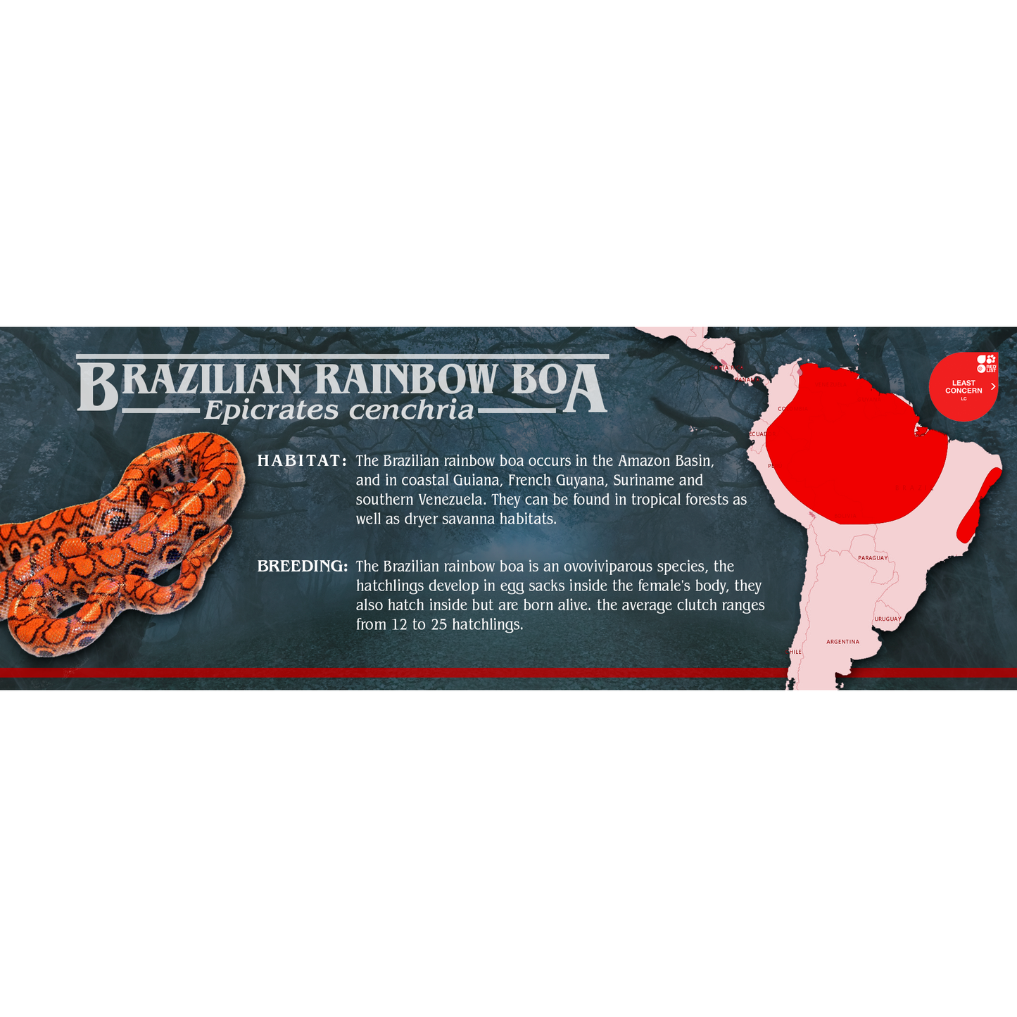 Stranger Species Special Edition Halloween Vivarium Label