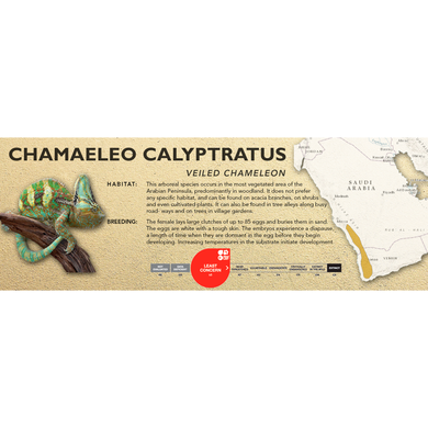 Veiled Chameleon (Chamaeleo calyptratus) Standard Vivarium Label