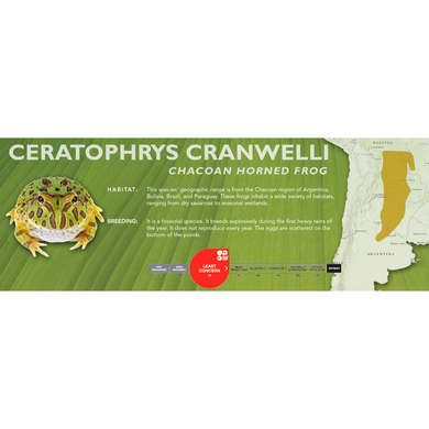 Chacoan Horned Frog (Ceratophrys cranwelli) - Standard Vivarium Label