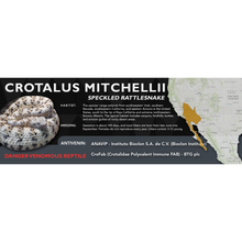 Load image into Gallery viewer, Speckled Rattlesnake (Crotalus mitchellii) Standard Vivarium Label