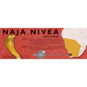 Cape Cobra (Naja nivea) Standard Vivarium Label