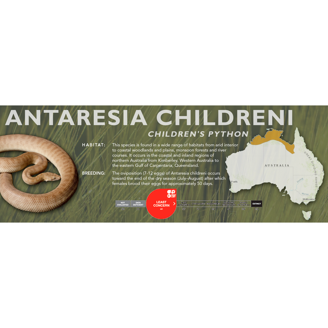 Children's Python (Antaresia childreni) Standard Vivarium Label