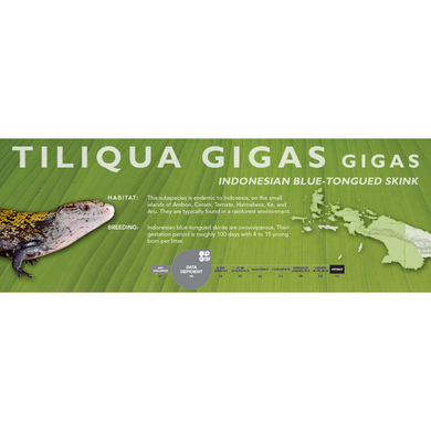Indonesian Blue-Tongued Skink (Tiliqua gigas) Standard Vivarium Label