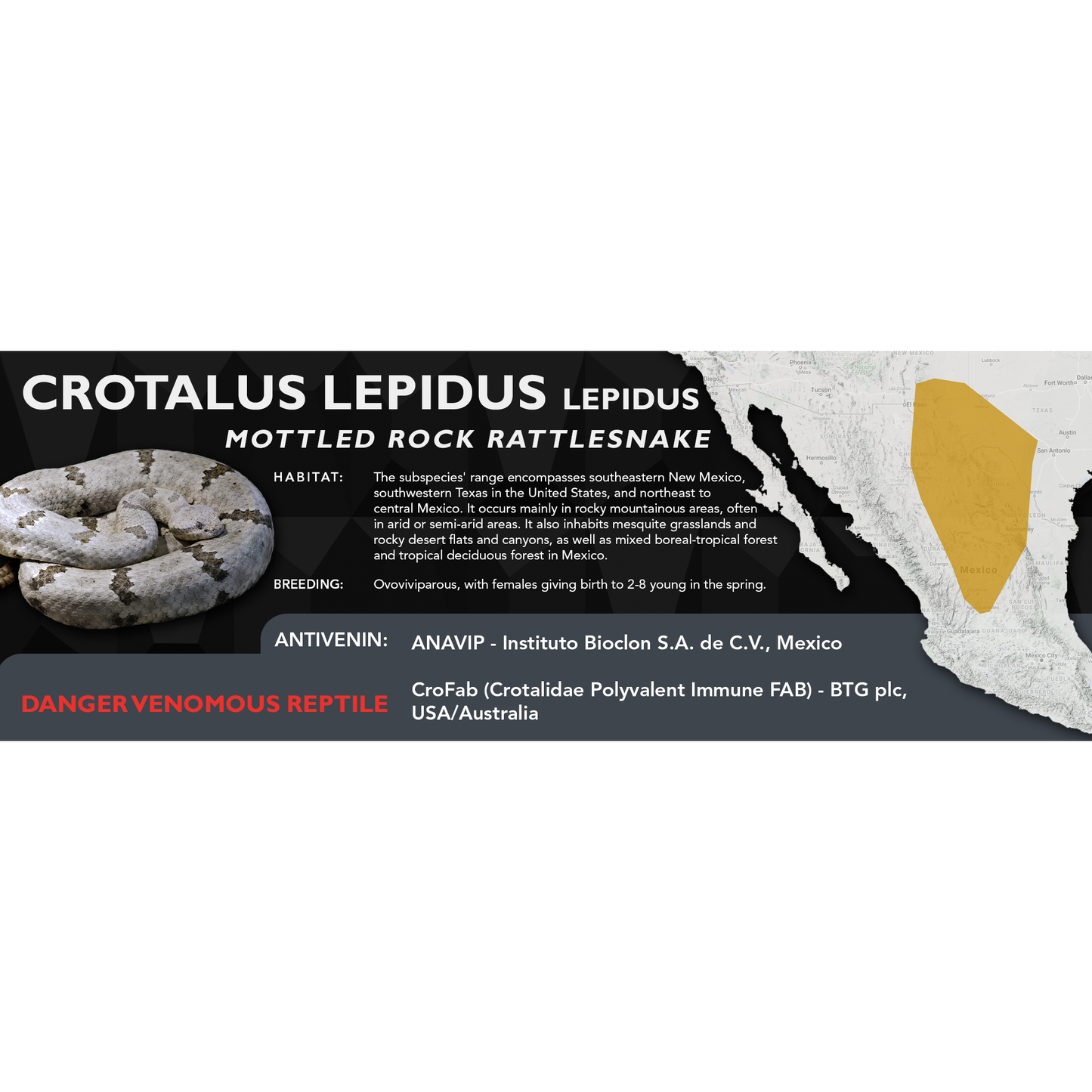 Mottled Rock Rattlesnake (Crotalus lepidus lepidus) Classic Vivarium Label