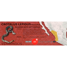 Load image into Gallery viewer, Durango Rock Rattlesnake (Crotalus lepidus maculosus) Standard Vivarium Label