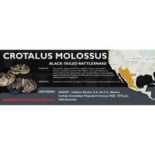 Load image into Gallery viewer, Black-Tailed Rattlesnake (Crotalus molossus) Standard Vivarium Label