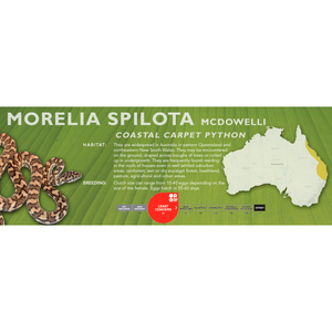 Carpet Python (Morelia spilota) Standard Vivarium Label