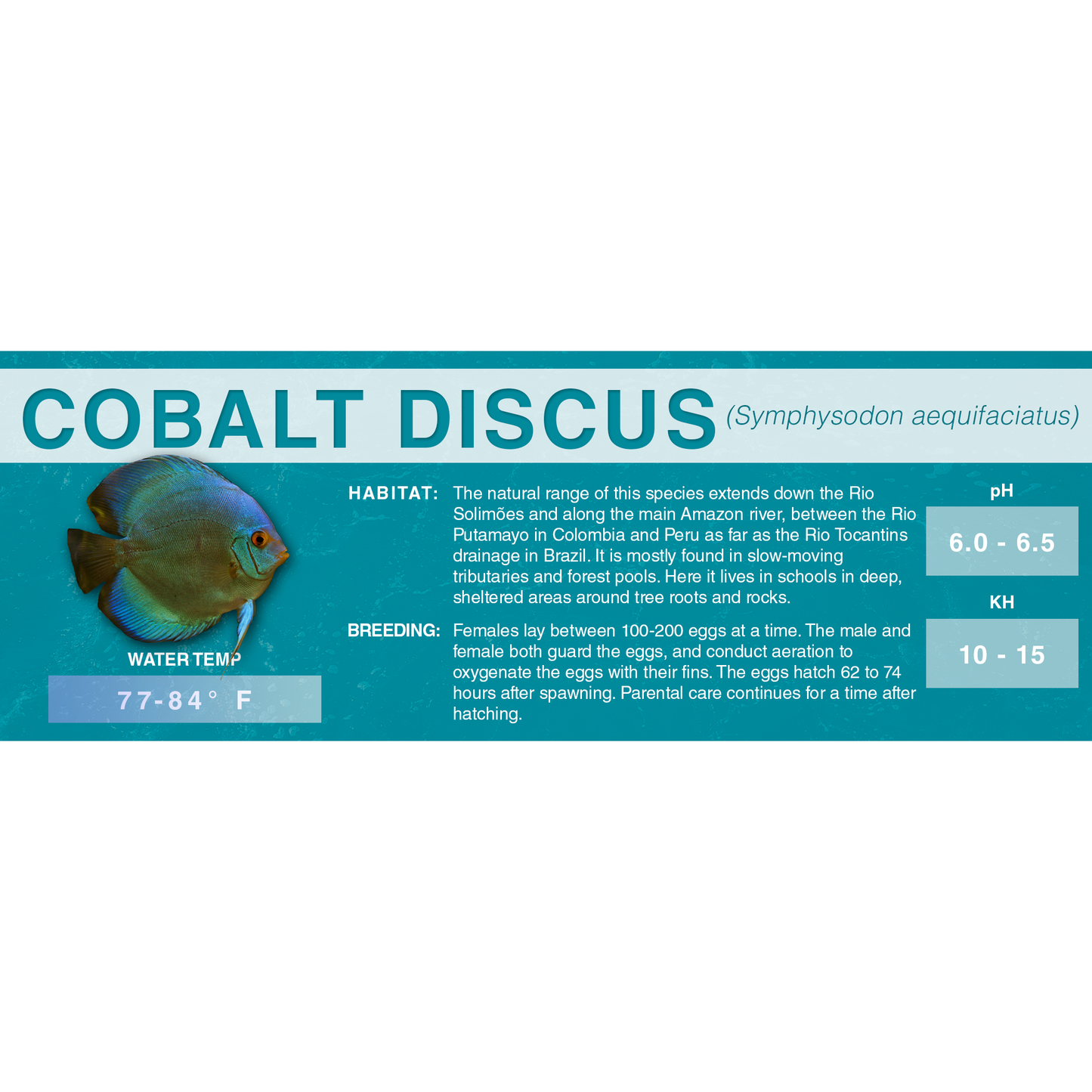 Blue or Brown Discus (Symphysodon aequifasciatus) - Classic Aquarium Label