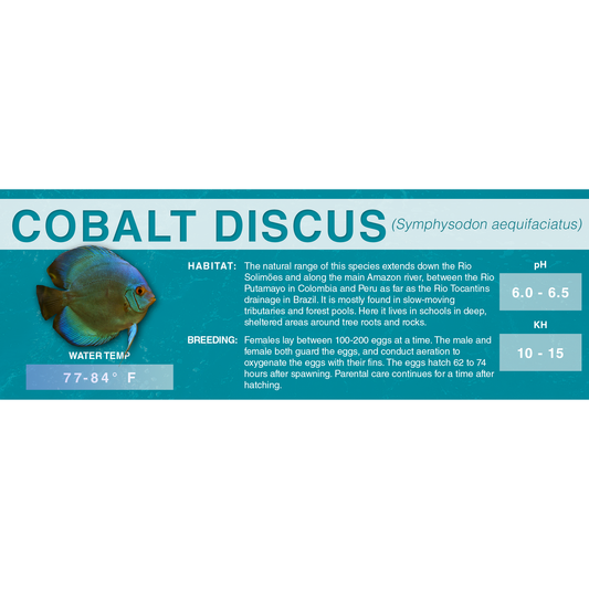 Blue or Brown Discus (Symphysodon aequifasciatus) - Classic Aquarium Label