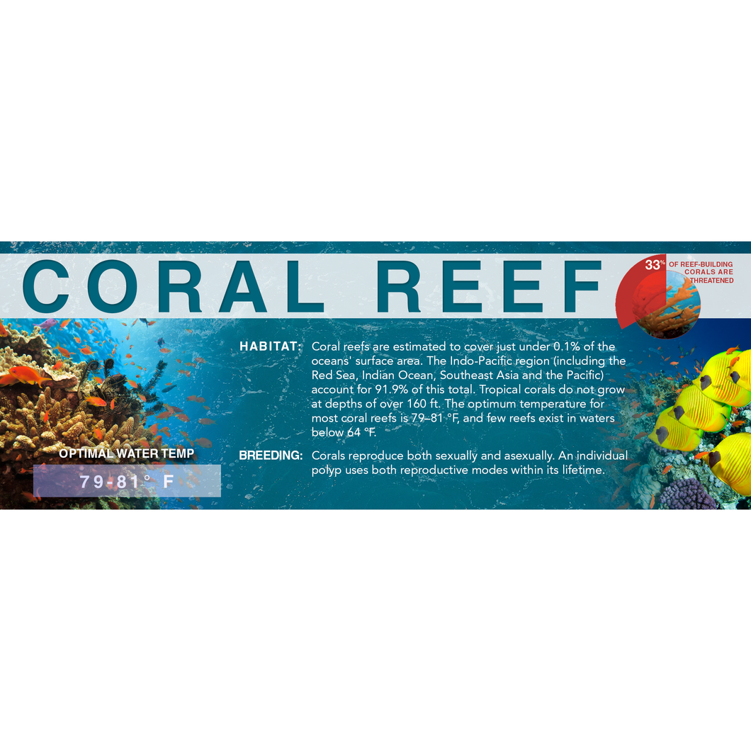 Coral Reef - Standard Aquarium Label