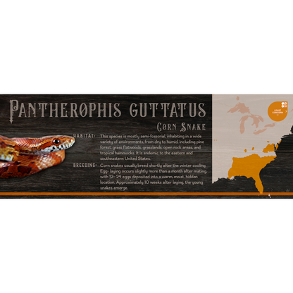 Special Edition Halloween Vivarium Label