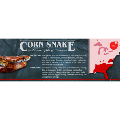 Stranger Species Special Edition Halloween Vivarium Label