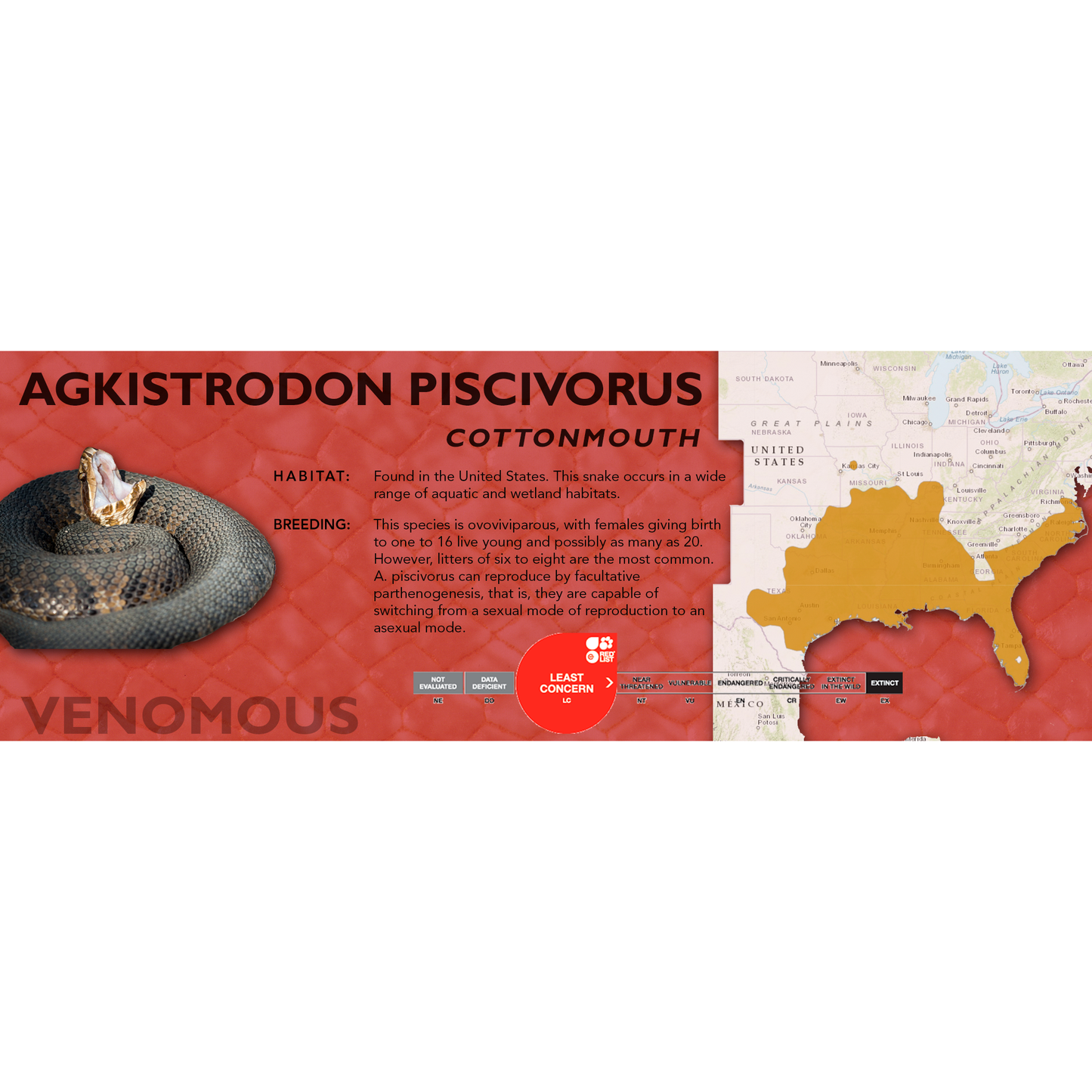 Cottonmouth (Agkistrodon piscivorus) Standard Vivarium Label