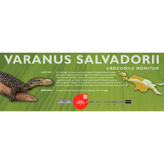 Crocodile Monitor (Varanus salvadorii) Classic Vivarium Label