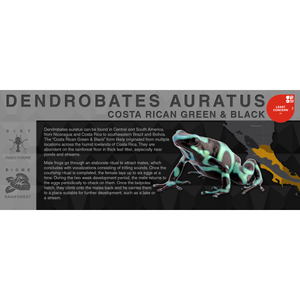 Dendrobates auratus "Costa Rican Green & Black" - Black Series Vivarium Label