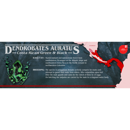 Stranger Species Special Edition Halloween Vivarium Label