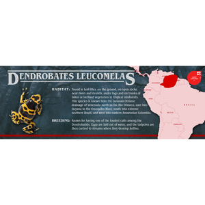 Stranger Species Special Edition Halloween Vivarium Label