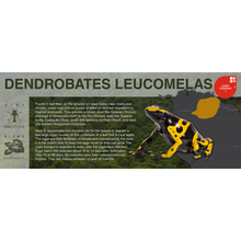 Load image into Gallery viewer, Dendrobates leucomelas - Black Series Vivarium Label