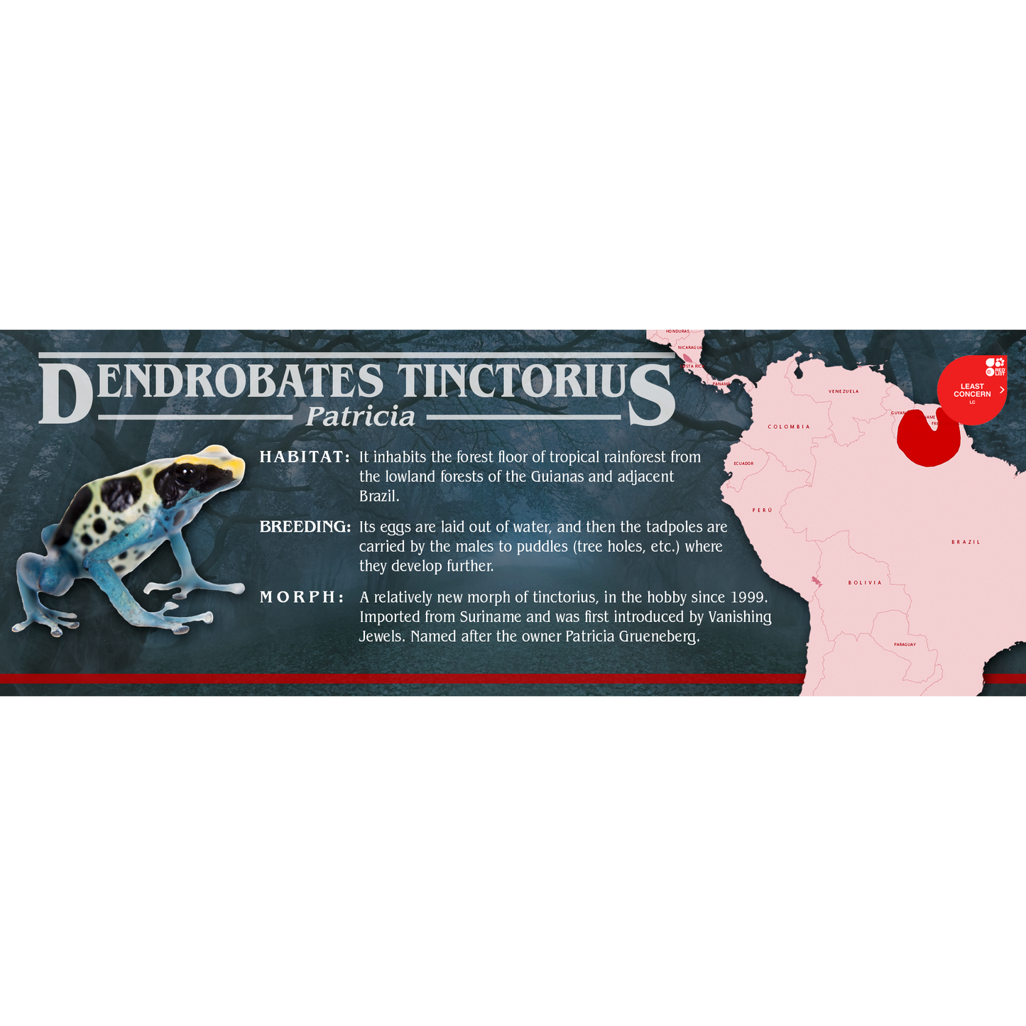 Stranger Species Special Edition Halloween Vivarium Label