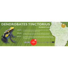 Load image into Gallery viewer, Dendrobates tinctorius - Standard Vivarium Label