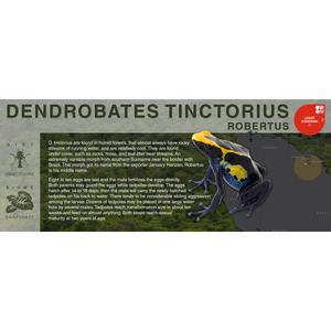 Dendrobates tinctorius "Robertus" - Black Series Vivarium Label