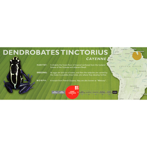Dendrobates tinctorius - Standard Vivarium Label