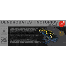 Load image into Gallery viewer, Dendrobates tinctorius &quot;Cobalt&quot; - Black Series Vivarium Label