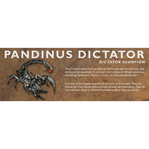 Pandinus dictator - Dictator Scorpion Label